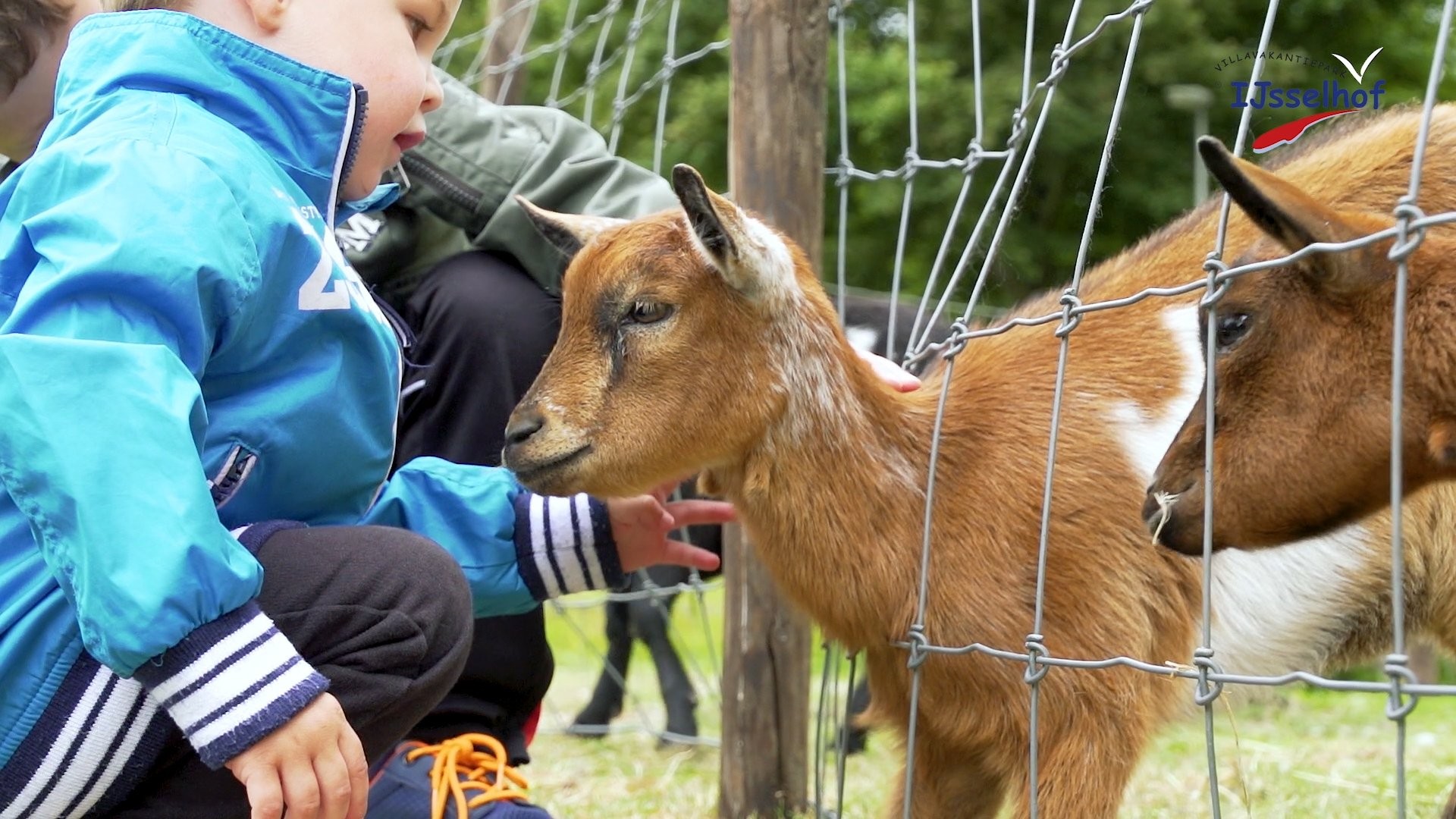 Parc animalier