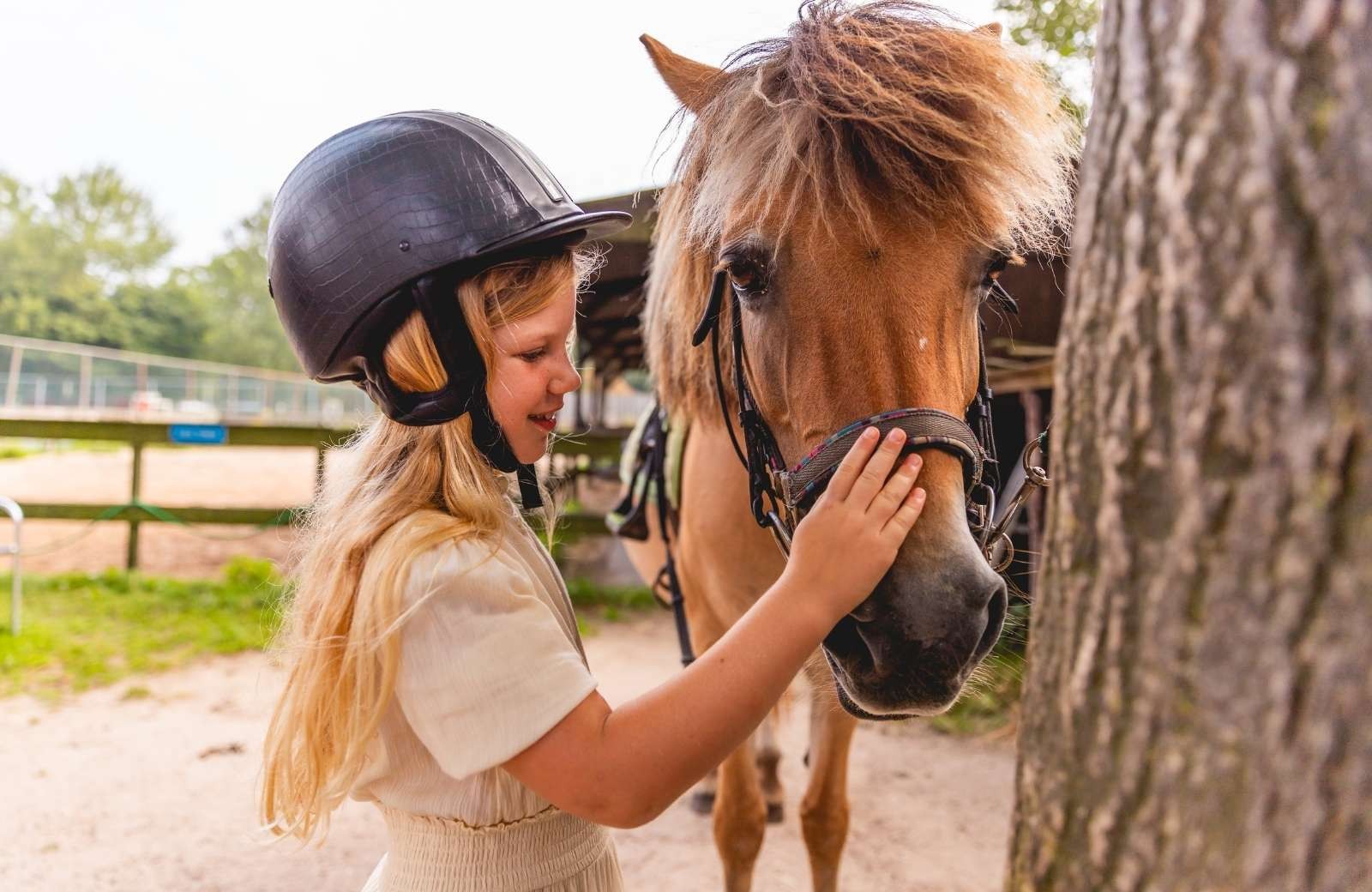 Pony aaien ijsselhof