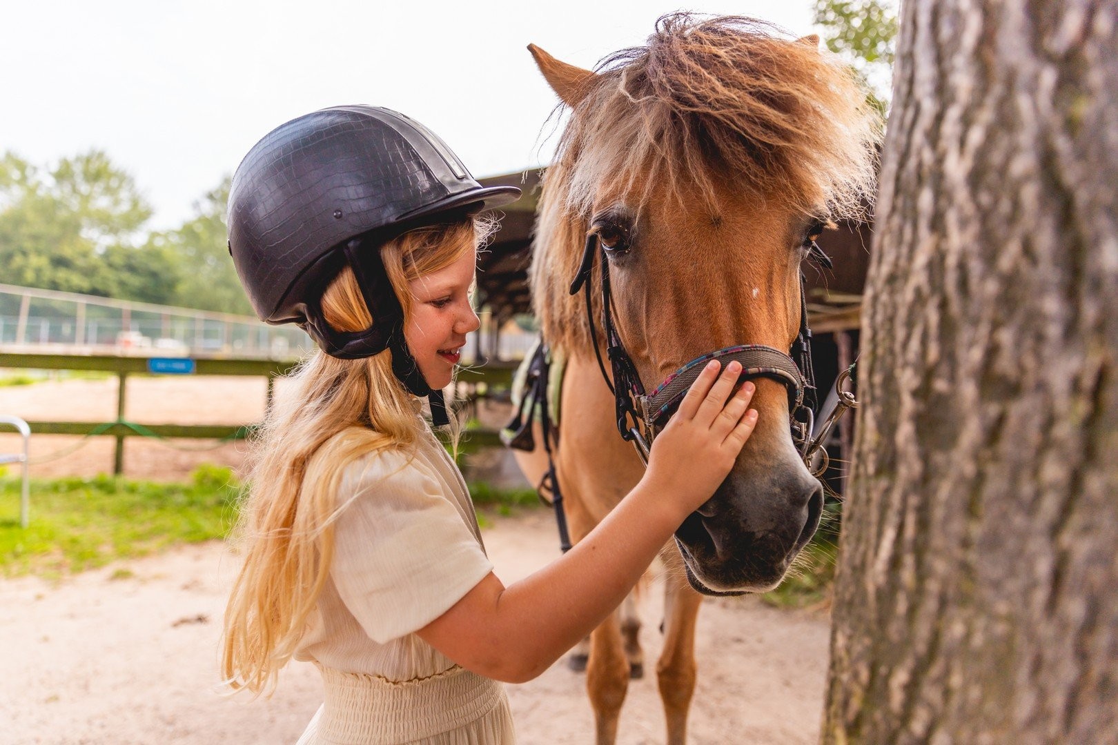 Ponyrijden villapark ijsselhof