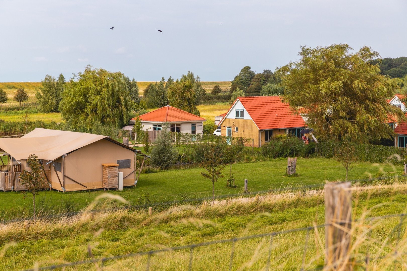 Villas en safaritenten villavakantiepark ijsselhof 675c3d10c96a9