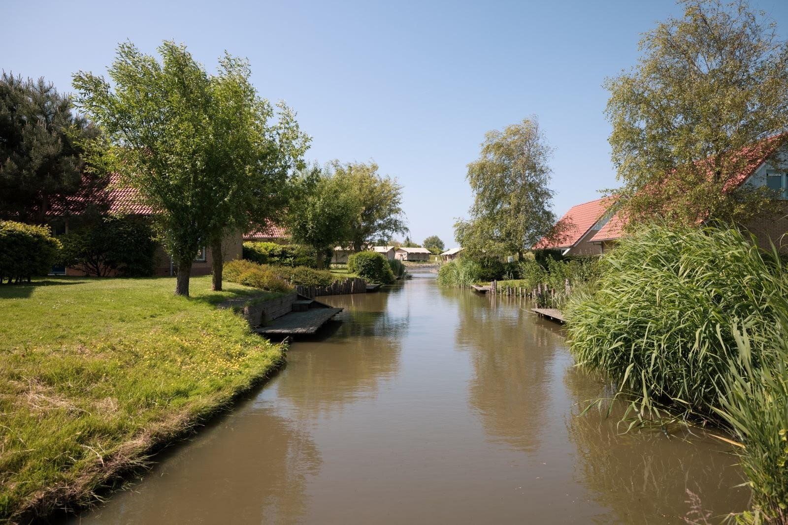 Vissen ijsselmeer water